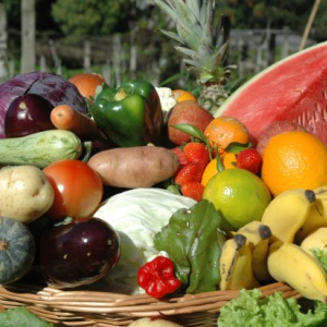 Participação de agricultores de SC no Programa de Aquisição de Alimentos foi aprovada