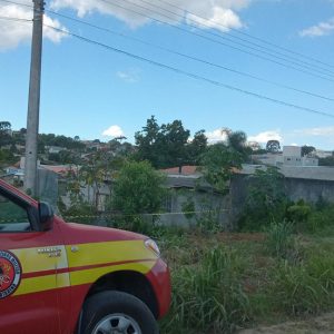 Homem é atacado por enxame de abelhas em Mafra