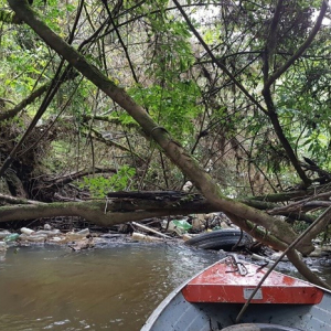 Voluntários promovem mutirão para limpeza do rio Negro neste sábado