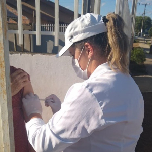 Mafra inicia vacinação contra a covid para idosos entre 75 e 79 anos