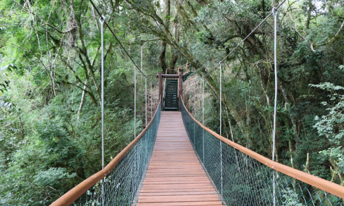 Parque Ecoturístico São Luis de Tolosa passa por reformas