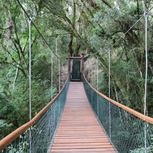 Parque Ecoturístico São Luis de Tolosa passa por reformas