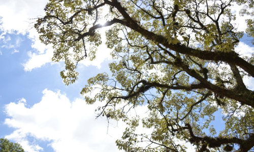Semana será de sol entre nuvens e chuva na região
