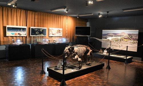 Centro Paleontológico da UnC passa por revitalização