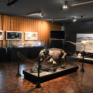 Centro Paleontológico da UnC passa por revitalização