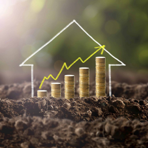 Quer investir? Veja três opções de terrenos em Riomafra