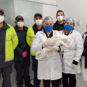 Bebê recém-nascida é encontrada abandonada em Três Barras