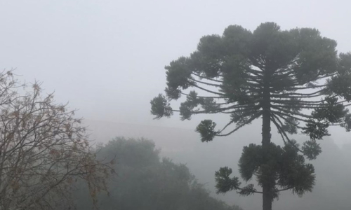 Inverno será de tempo seco e frio em Santa Catarina e no Paraná