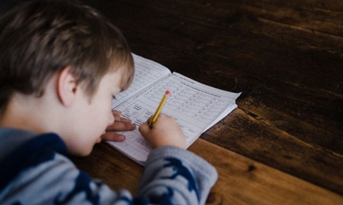 Comissão de Educação rejeita projeto de lei que autoriza o ensino domiciliar