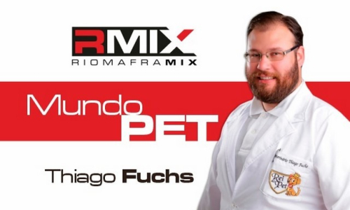 Cuidado: gripe canina não escolhe estação