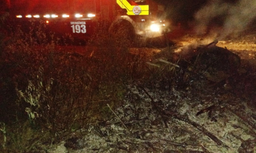 Incêndio atinge área de reflorestamento de pinus em Mafra
