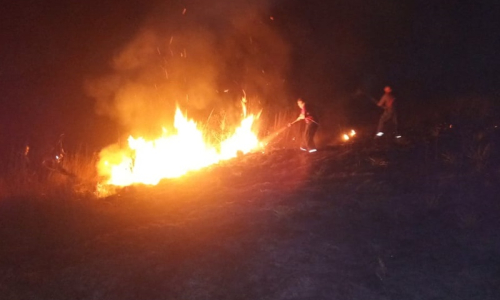 Incêndio atinge área de vegetação dentro do aeroporto de Mafra