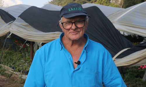 Casal de agricultores se dedica ao cultivo de flores
