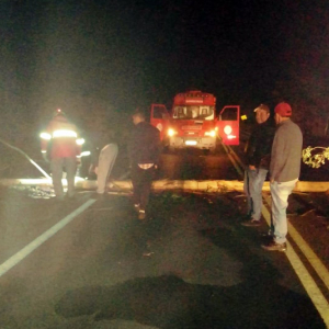 Árvore é derrubada propositalmente sobre pista no trevo de Itaiópolis