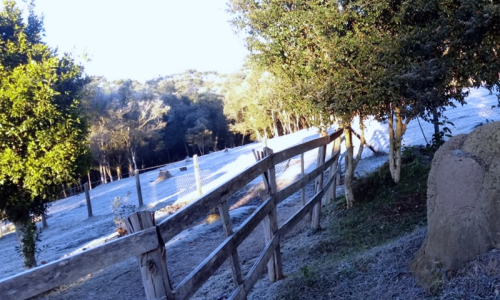 Riomafra atinge temperatura de -1,6°C nesta terça-feira