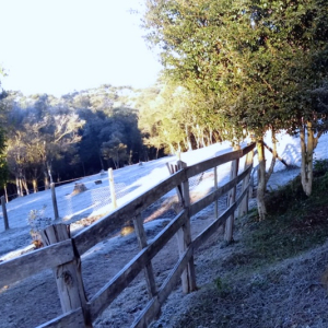 Riomafra atinge temperatura de -1,6°C nesta terça-feira