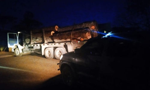 Caminhão é flagrado com carga ilegal de araucária em Itaiópolis
