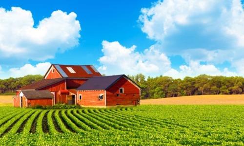 Descubra a diferença entre chácara, sítio e fazenda