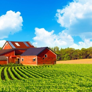 Descubra a diferença entre chácara, sítio e fazenda
