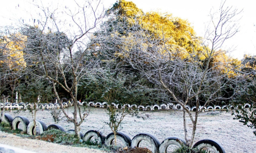 Riomafra tem amanhecer mais frio do ano; veja fotos