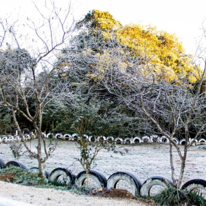 Riomafra tem amanhecer mais frio do ano; veja fotos