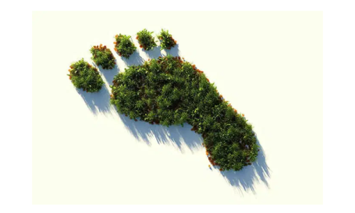 Qual o impacto dos seus atos no meio ambiente? Calcule sua pegada ecológica