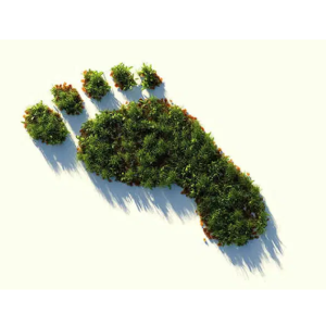 Qual o impacto dos seus atos no meio ambiente? Calcule sua pegada ecológica