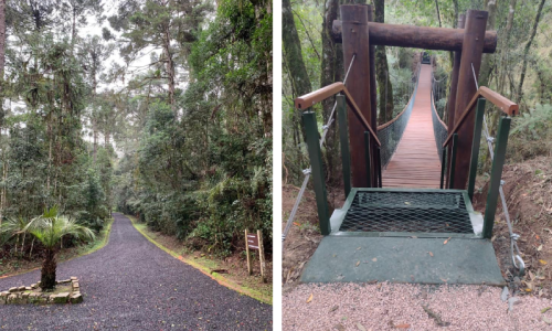 Parque do “Seminário”: um local para bem-estar físico e psicológico