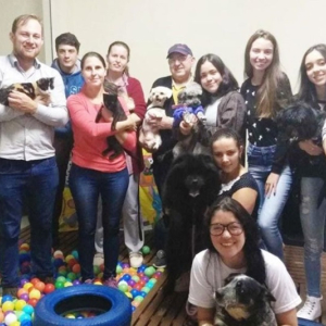 Gosta de animais de estimação e de grande porte? Faça o curso de auxiliar veterinário