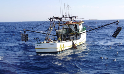 Sancionada a lei que cria a inédita Política da Pesca em SC