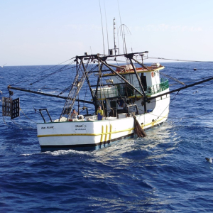 Sancionada a lei que cria a inédita Política da Pesca em SC