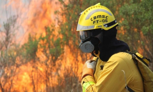 Primeiro semestre de 2020 teve mais incêndios que todo o ano de 2019 em Mafra