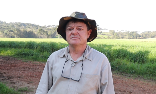 Parcerias entre pequenos agricultores e foco no mercado impulsionam o agronegócio