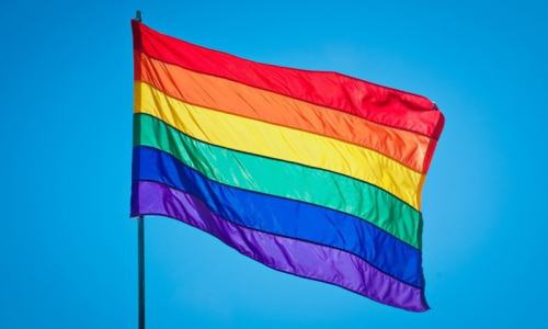 Estado é condenado a indenizar casal homoafetivo de Mafra que teve casamento civil negado