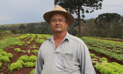 Produção de verduras e legumes próspera em Rio Negro