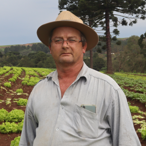 Produção de verduras e legumes próspera em Rio Negro