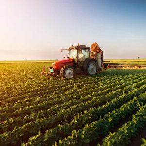 Prazo para declarar imposto sobre propriedade rural acaba hoje