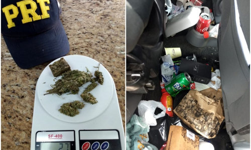 Motorista sem CNH é flagrado com drogas em carro cheio de lixo na BR-116, em Mafra