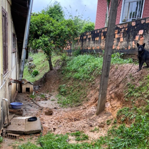 Polícia Civil e prefeitura fiscalizam caso de maus-tratos a animais em Mafra
