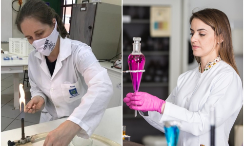 Pesquisadoras da UnC estão na lista de cientistas mais influentes do mundo