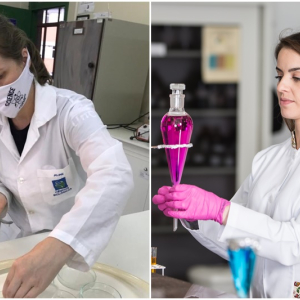 Pesquisadoras da UnC estão na lista de cientistas mais influentes do mundo
