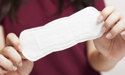 Moisés encaminha projeto de lei para distribuir absorventes nas escolas estaduais
