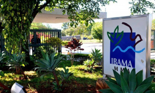 Ibama rejeita pedido de flexibilização das regras ambientais