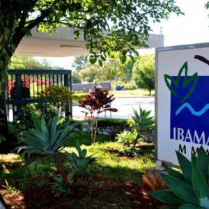 Ibama rejeita pedido de flexibilização das regras ambientais