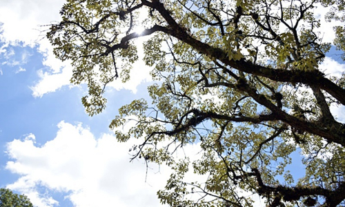 Semana será de sol entre nuvens e calor na região