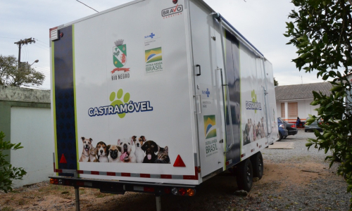 Rio Negro terá castramóvel para pets de famílias de baixa renda