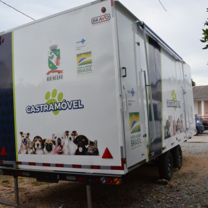 Rio Negro terá castramóvel para pets de famílias de baixa renda