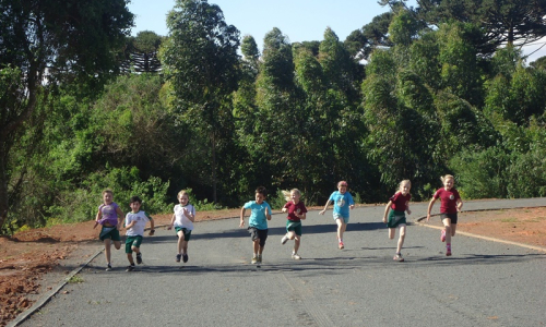 1º Festival de Esportes abre inscrições para escolas de Mafra