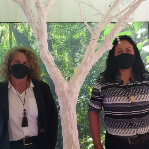 Exposição conta história da erva-mate e traz árvore cibernética para Rio Negro