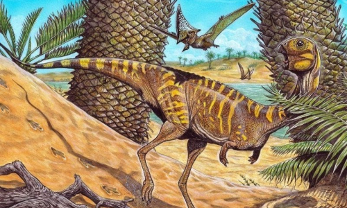 Pesquisadores de Mafra ajudam a descobrir novo dinossauro brasileiro